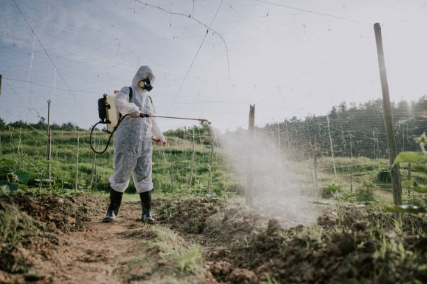 Best Local Pest Control Services  in Standish, MI