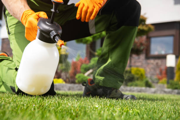 Best Emergency Pest Control  in Standish, MI