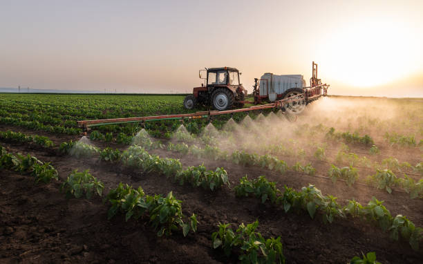 Professional Pest Control in Standish, MI