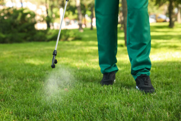 Best Best Pest Control Companies  in Standish, MI