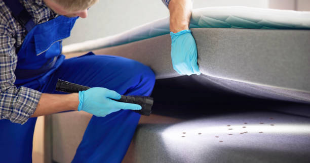 Best Pest Prevention Services  in Standish, MI