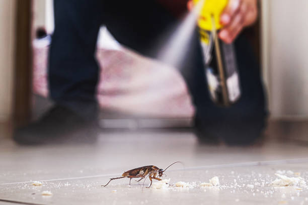 Best Wasp Removal Services  in Standish, MI