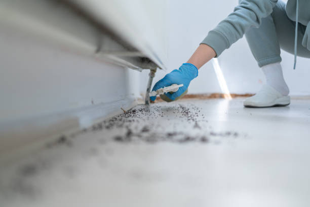 Wildlife Control Services in Standish, MI