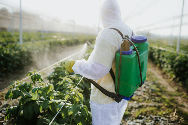 Wasp Removal Services in Standish, MI